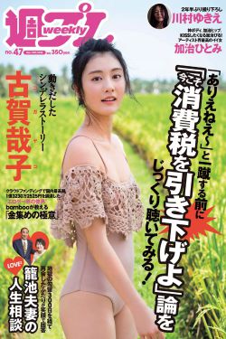 秘密人质电视剧全集